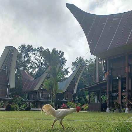 Toraja Homestay & Coffee Bunna Rantepao Ngoại thất bức ảnh